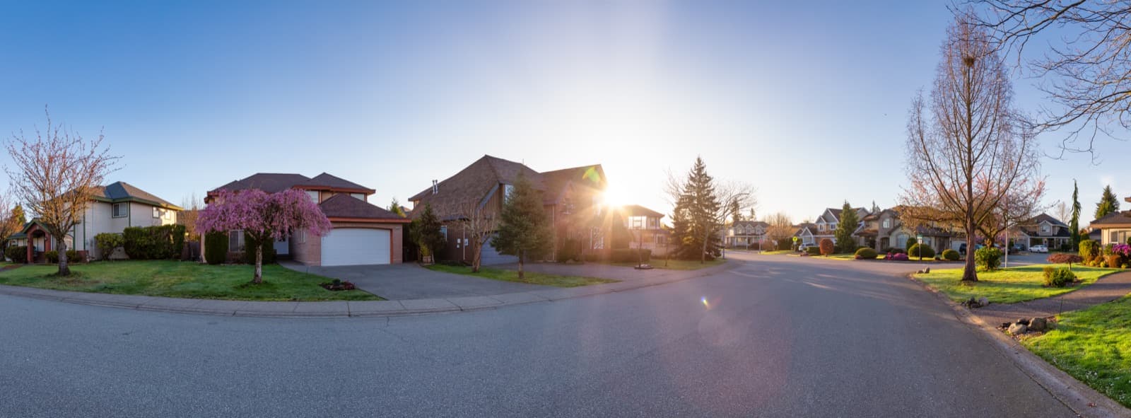 Homes along a landscaped residential street